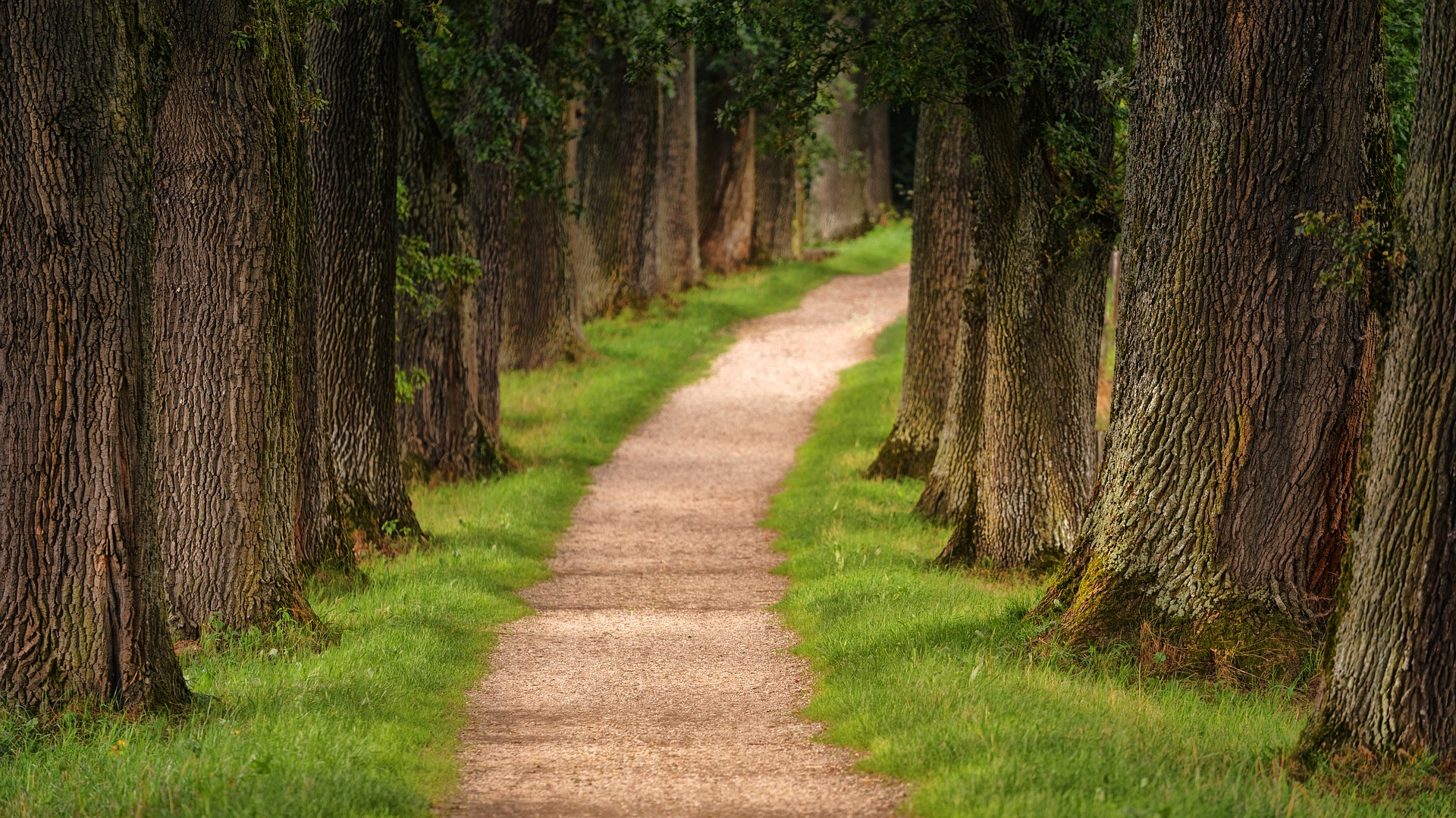 Wandern im Dresdner Umland mit Mario